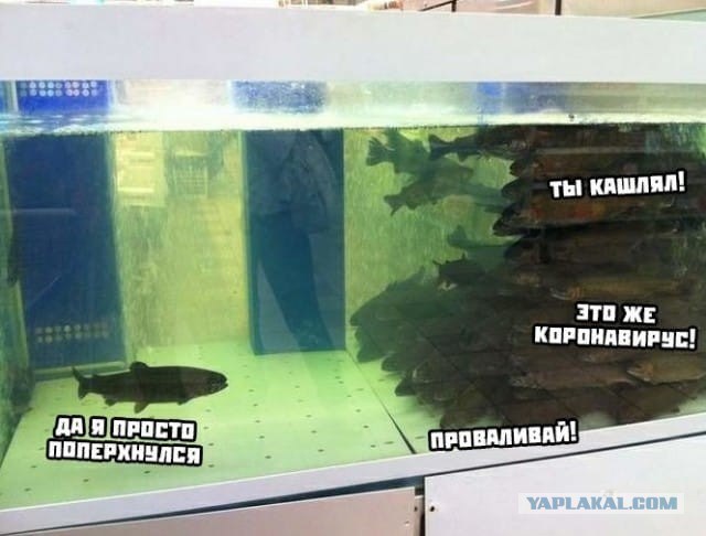 Самая грустная картинка про COVID19