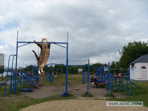 Доброе утро