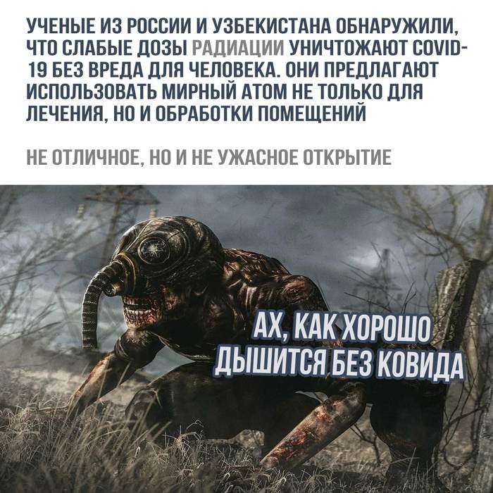 15115883.jpg