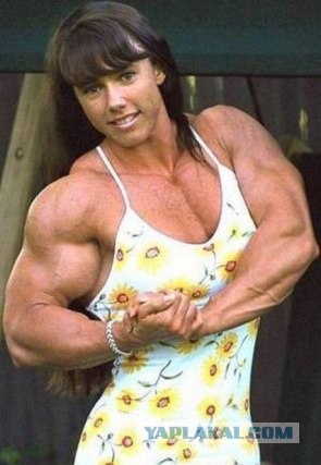 Маленькая девочка не дала в обиду своего кота