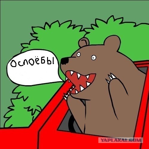 Cобрался целый аул