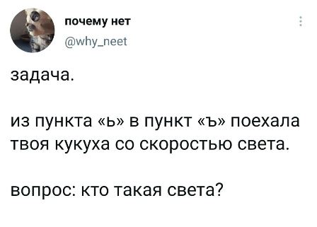 Весёлый полтишок 10.07