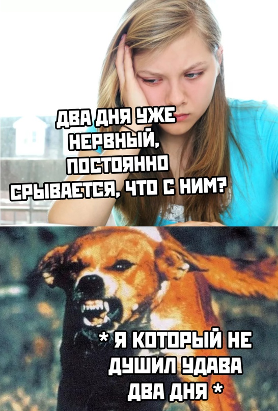 Картинки и мемы для настроения 03.11.2021