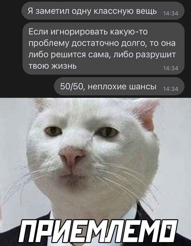 Весёлый полтишок 24.12