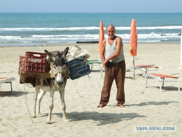 Что же такое Албания?