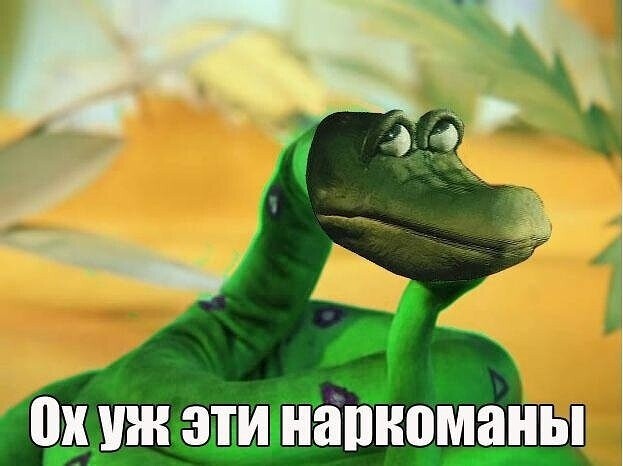 Отвлечься от дичи в жизни. Дичь в картинках