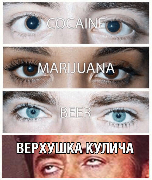 Весёлый полтишок 16.04.23
