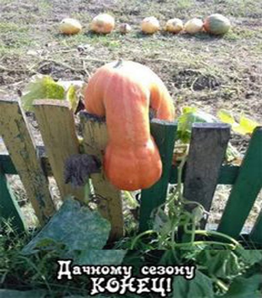 Так себе картинки 02.09.23
