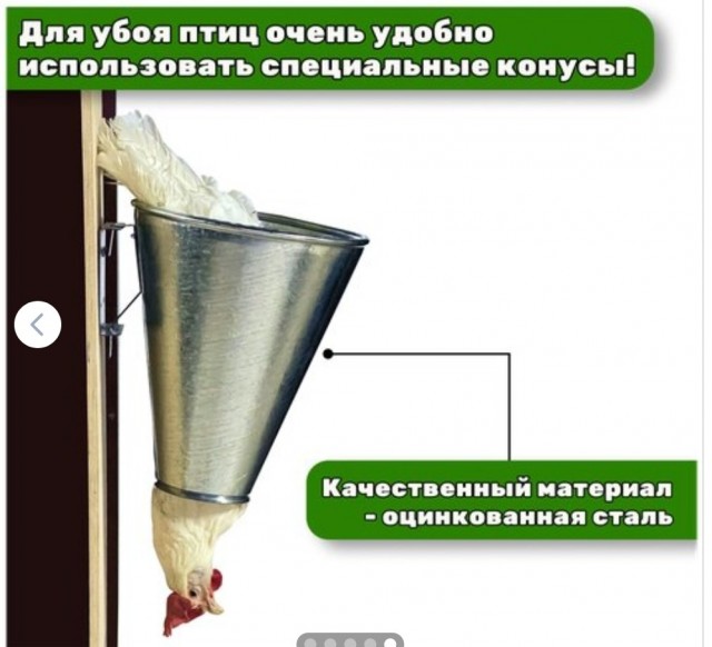 Взрослый и нагулявшийся мужчина хочет от женщины лишь одного — проживание с бесплатным уходом
