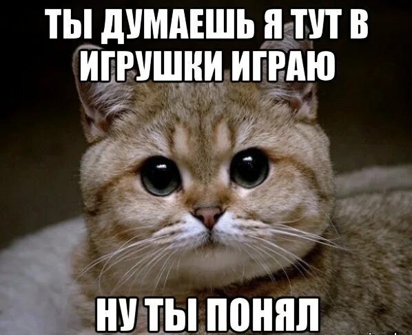 Один кошк и два струна - музыкальная игра