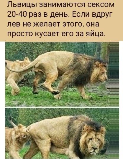 Прикольные и просто красивые картинки 19.04.2024