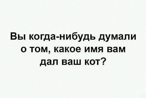 Так себе картинки 24.07.24