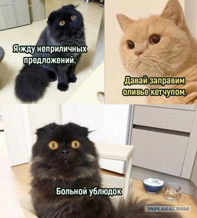 Нуштош 14.01.2025. Теперь ждем лета (s3e2)