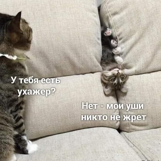Так себе картинки 14.02.25