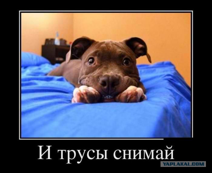 впрямь муж ебет жену и подругу извиняюсь, но