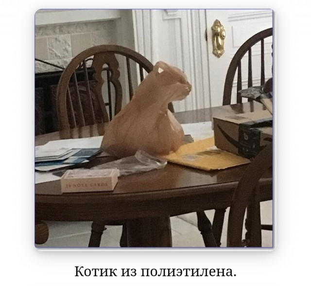 К котовторнику: подборка картинок-баянов с котиками и про котиков. Выпуск 17