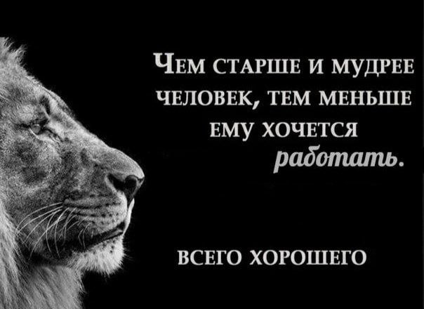 Картинки для деградации 92 (разной степени свежести)