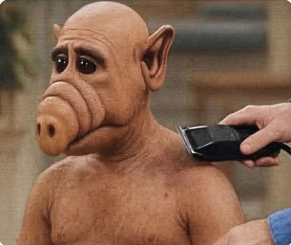 Картинки для деградации 143 (разной степени свежести)