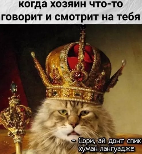 Котямбосы