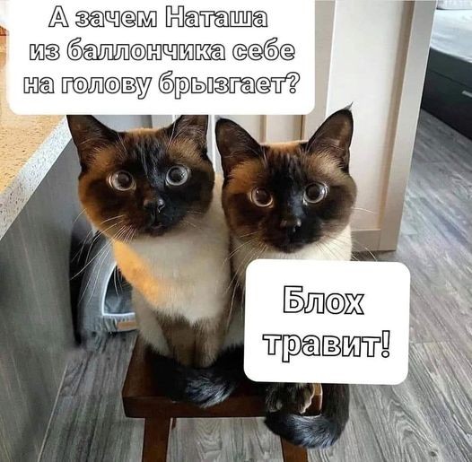 Найди себе уже мужика, Наташа!