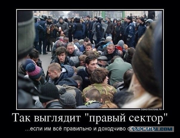 COUBы на правосеков и майдаунов (+18)