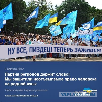 Предвыборный юмор по-украински (коте одобряет)