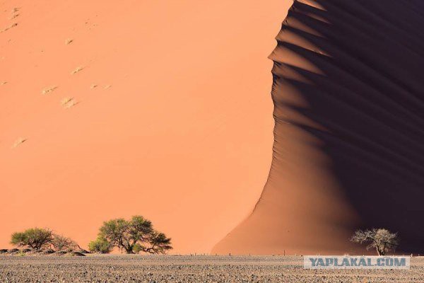 Подборка фотографий дня Nationalgeographic