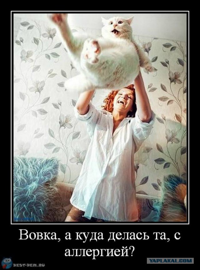 Картинки и демотиваторы