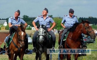 "Верни телефон, мразь!"