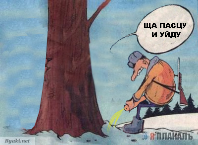 КАРИКАТУРЫ. Прикольные карикатуры