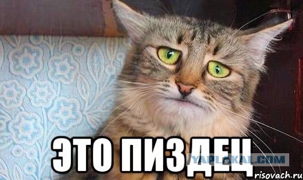 Жизнь современных детей в интернете