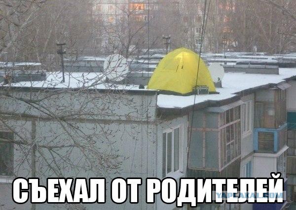 Весёлые картинки