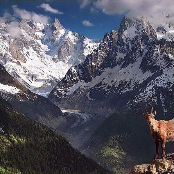 Интересные и веселые картинки