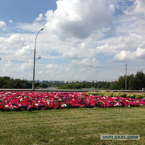 До чего Собянин довел Москву