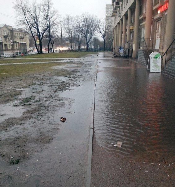 Картинки и приколы из сети