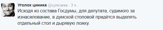 По итогам выборов в Госдуму прошли десять человек с судимостью