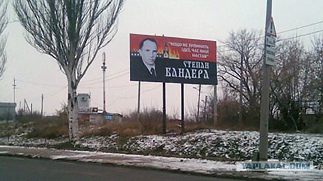 Собираются подписи за то, чтобы Президент воздержался от новогодних обещаний