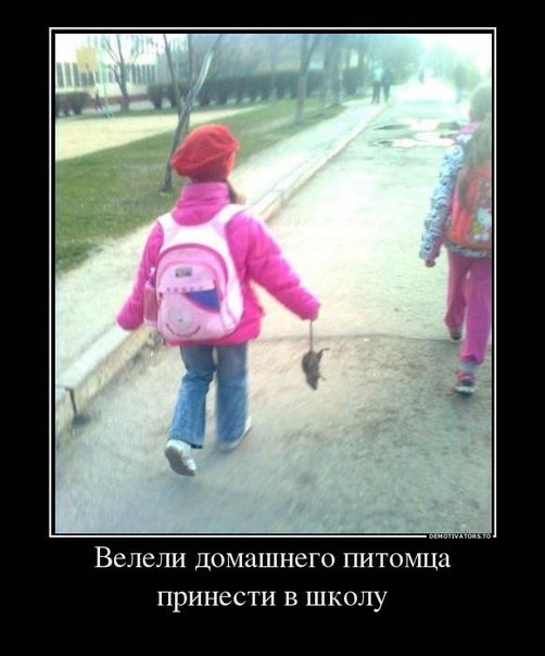 100 картинок для поднятия настроения!