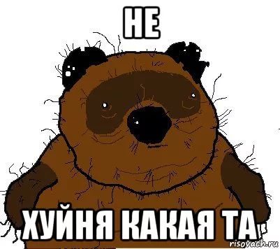 Ответ Панина Галкину по теме предвыборной компании Ксении Собчак