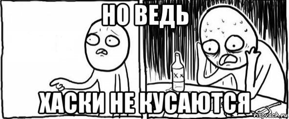 Хаски напал на годовалого мальчика в Хабаровске