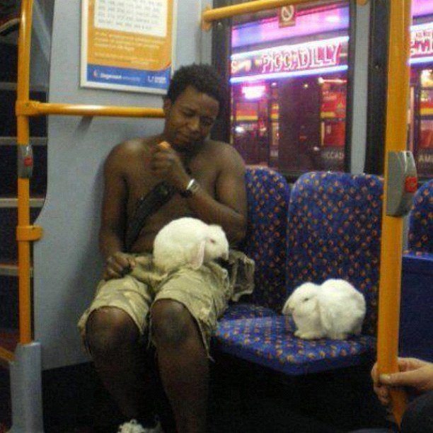 Подборка интересных и веселых картинок
