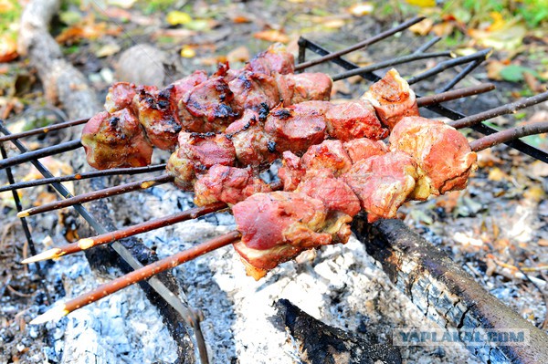 Зачем мариновать шашлык с научной точки зрения