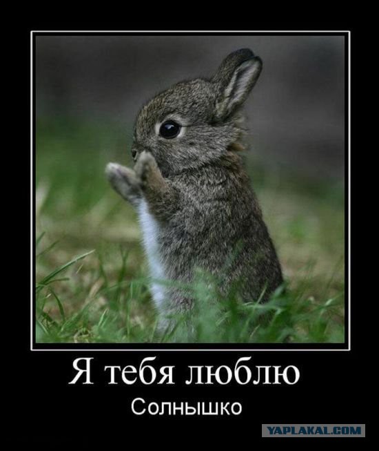 Немного милых жипегов