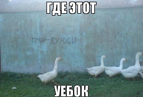 Царь двора
