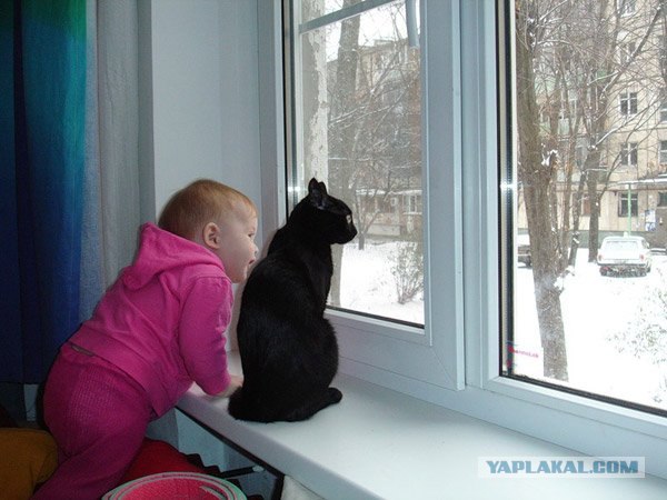 Ребёнок и кот