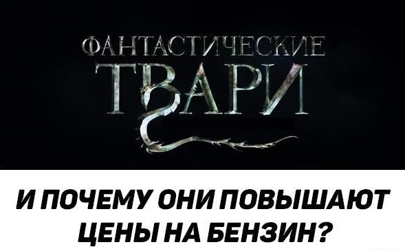 Блюдо дня