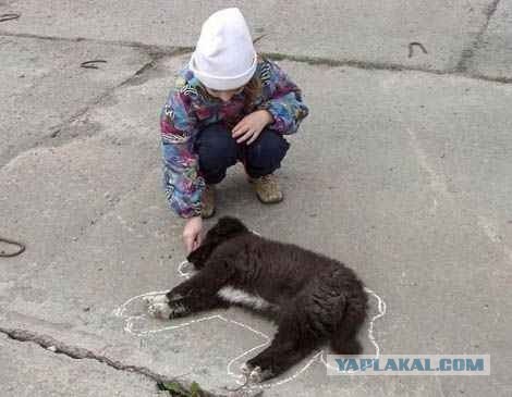 Нельзя так шутить