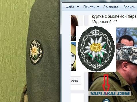 Нижегородский замминистра щеголяет в куртке с эмблемой дивизии вермахта?