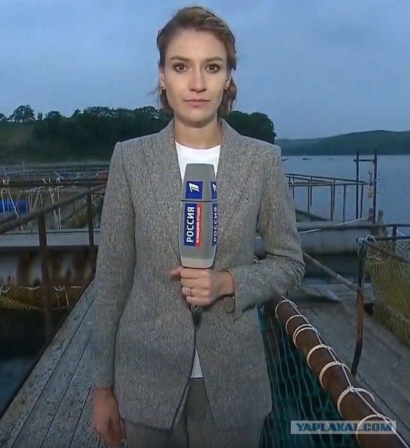 Прямая линия 20.06.2019
