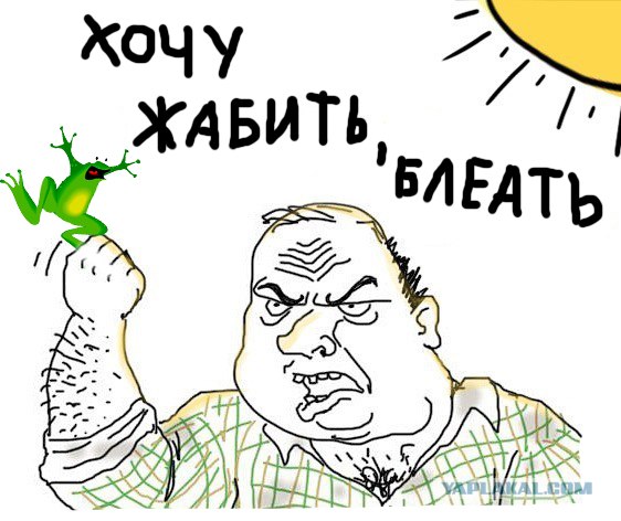 Zhaberbottle 2.0л - 1 Апреля 2012. Набор команд!